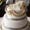 Wedding Cake 838